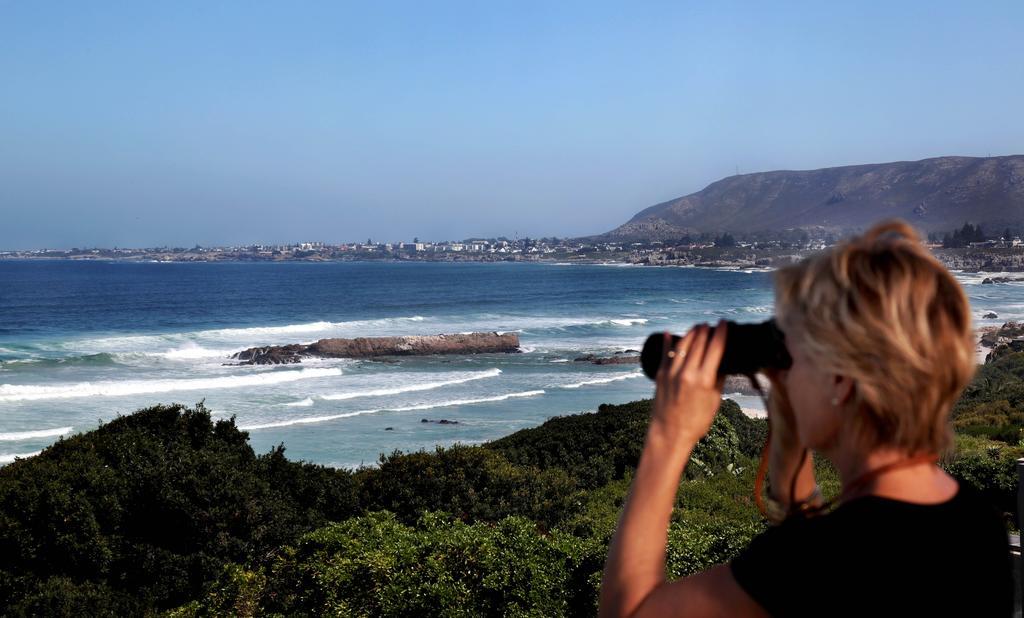 Hermanus Beach Villa Kültér fotó