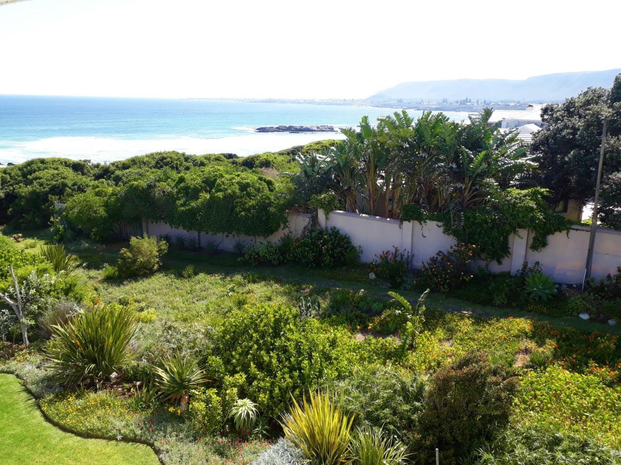 Hermanus Beach Villa Kültér fotó